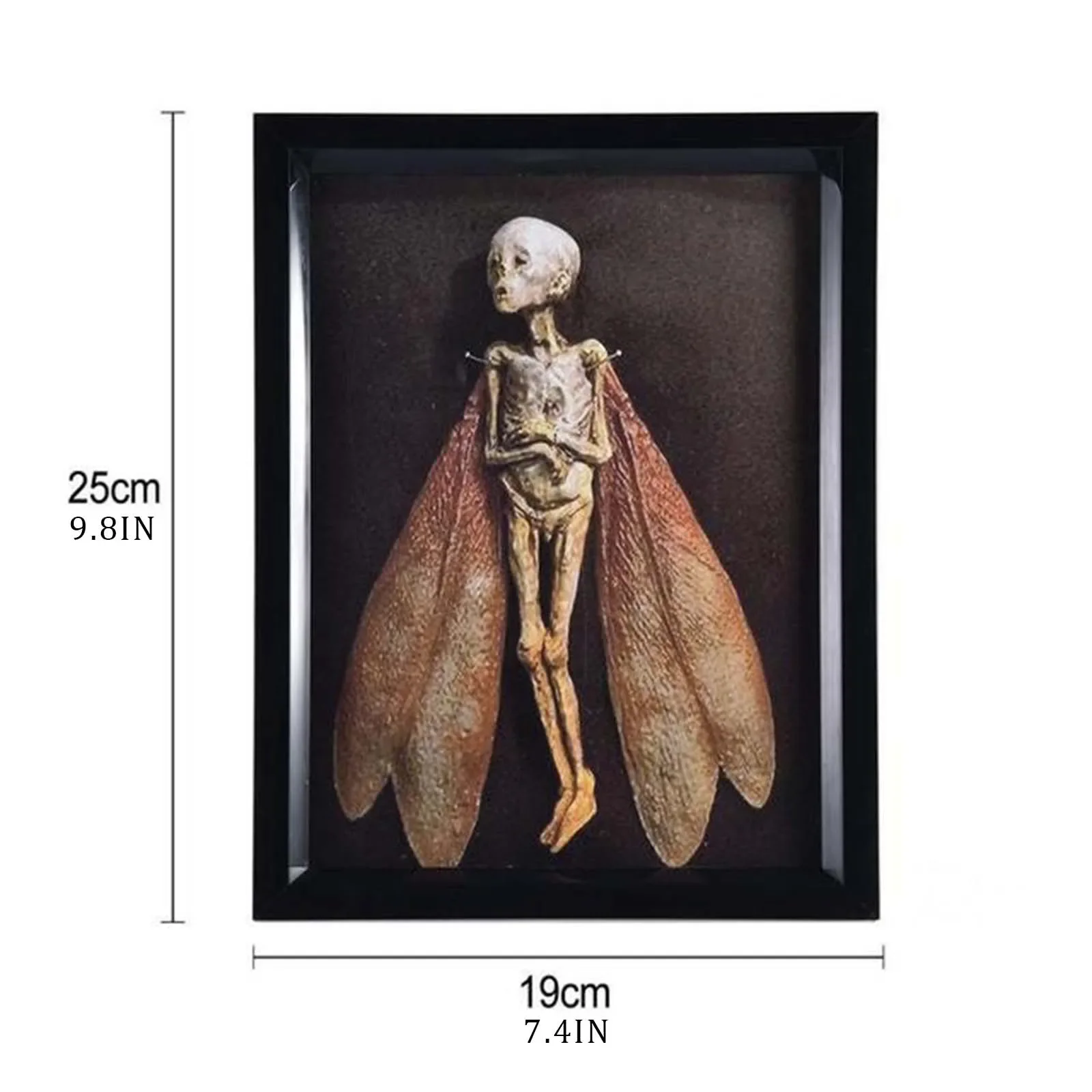 Cursed Items Dead Shadow Box Display Handmade Creepy Mummified Corpse Art Ornament Elf Specimen Weird Ornament