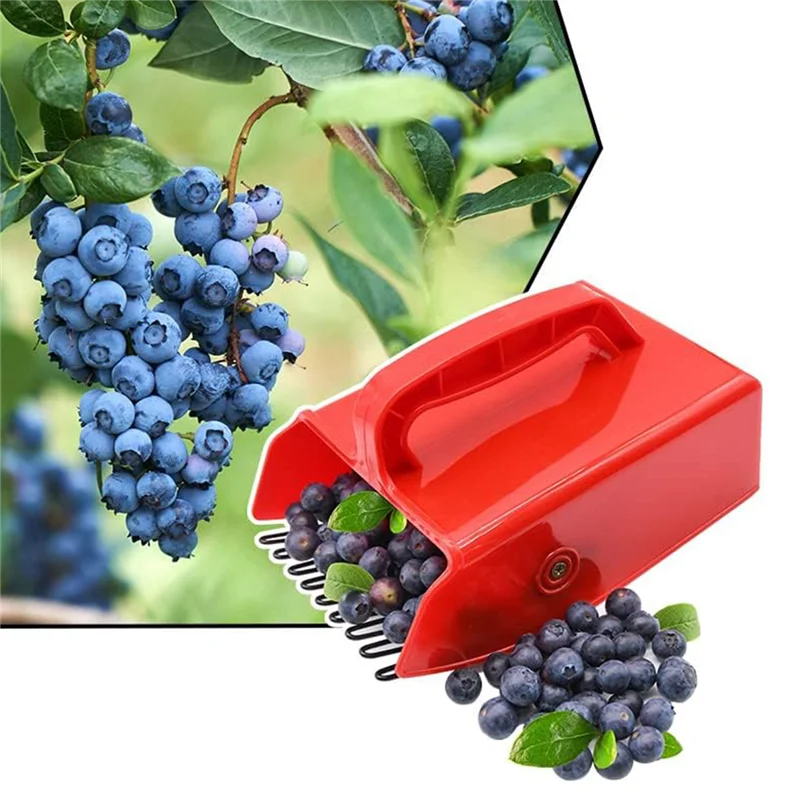 منتقي CS-Berry، أدوات التقاط التوت ومكابس مع مشط معدني ومقبض مريح لسهولة اختيار التوت، أحمر متين #3