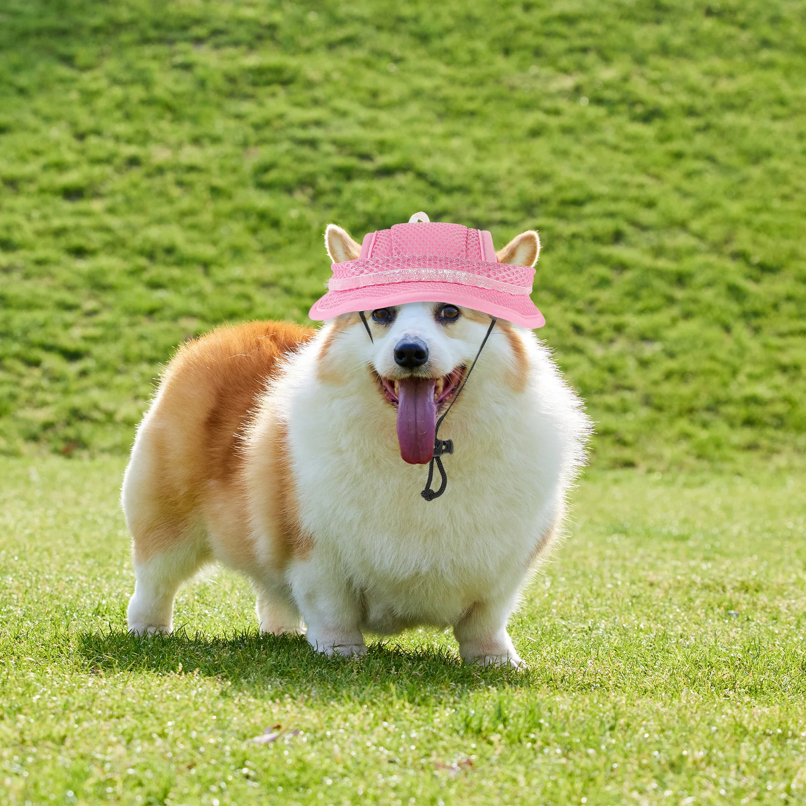 

Pet Beret Dog Cat Outdoor Sun Visor Hat Adjustable Stripe Breathable Summer Baseball Protection for Dogs Cats