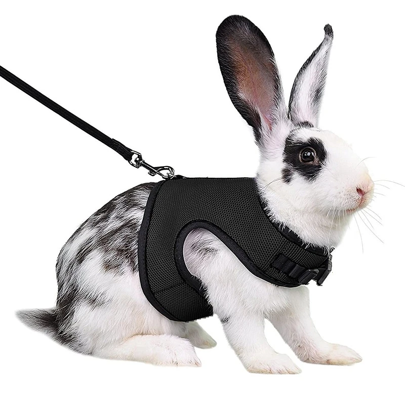 Rabbit Harness and Leash Set Bunny Pet Accessories Vest Harnesses Rabbit Leashes for Outdoor Walking Pets Supplies