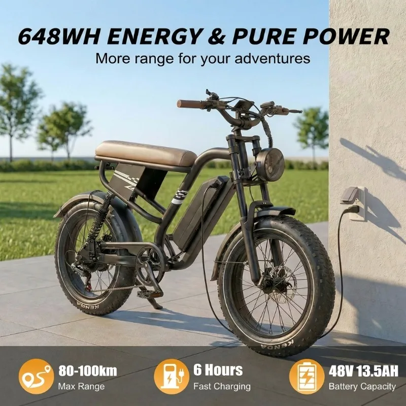 Custom 48V 250W Brushless Motor 20x4.0 Fat Tires Double Shoulder Fork Hydraulic Cruiser Bike