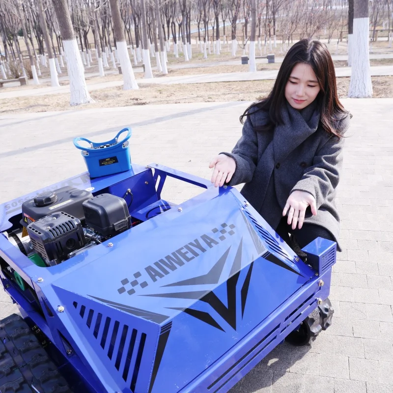 Maßgeschneiderter robuster landwirtschaftlicher Rasenmäher – professionelles Raupenmodell mit 550 mm Schnittbreite