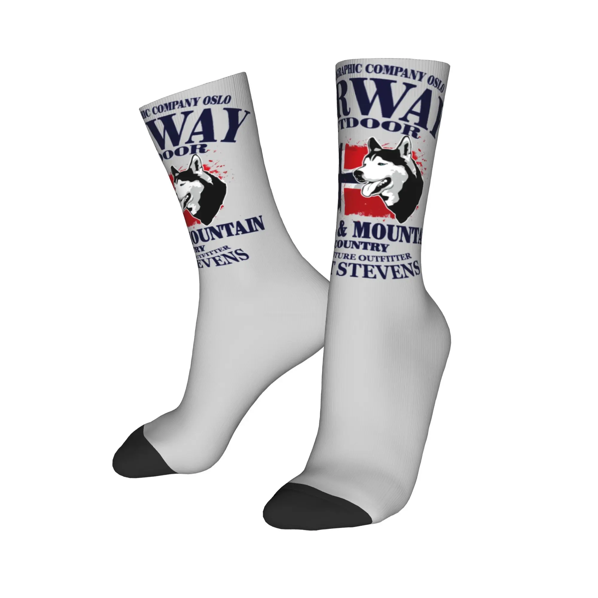 

Новинка на заказ, носки с принтом норвежского флага для женщин и мужчин, эластичные летние, осенне-зимние милые носки для собак