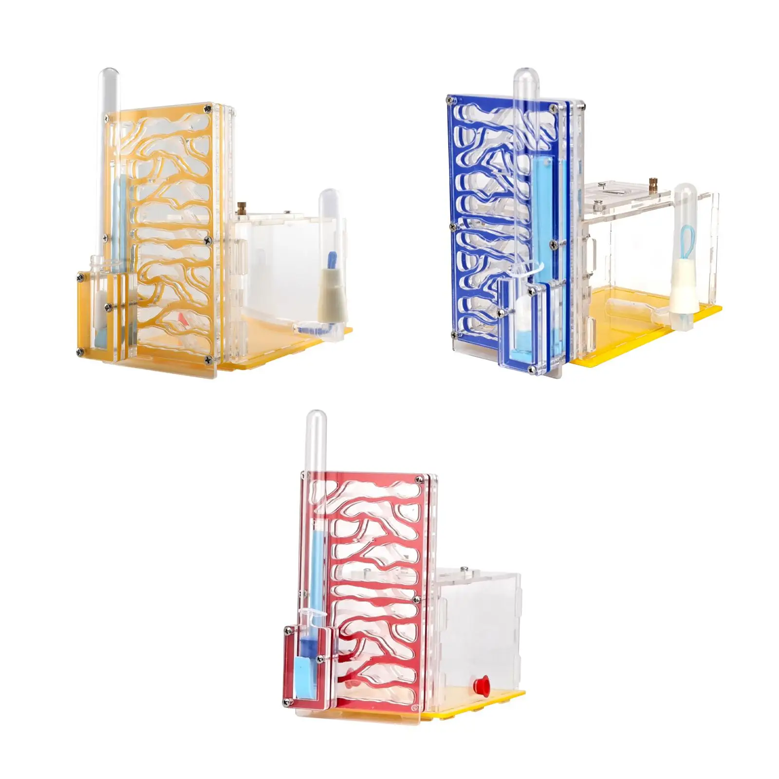 ANT Housing Nest Display Box Learning with Feeder DIY ANT Farm for Gift Science
