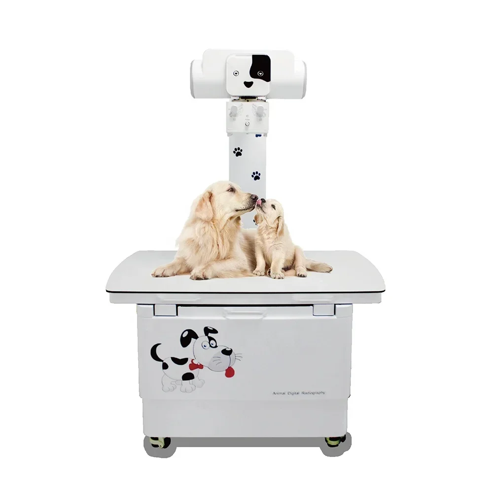 X Ray Machine 20kw 200ma DR Pet X Ray Machine Ysenmed Medical Digital X-ray Machine Special For Veterinary Hospital Vet Animal