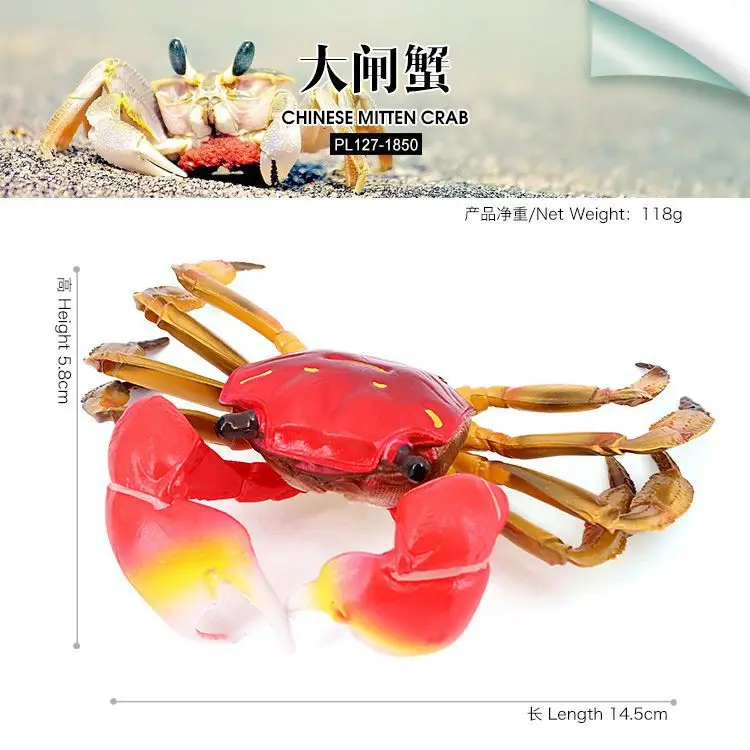 Simulated marine animal solid model hairy hairy crab children's early education cognitive toy ornament gift