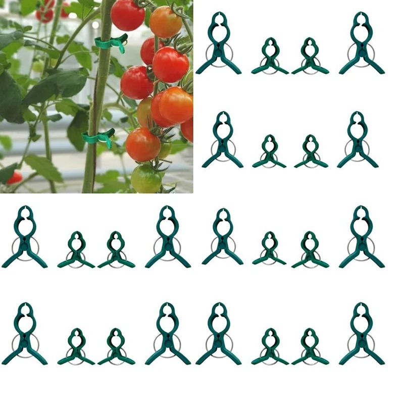 Fixed Plastic Plant Clips, Plant Support Clips Plant Clips For Climbing Plants, Fixed Plant Vine Clips For Garden Vines