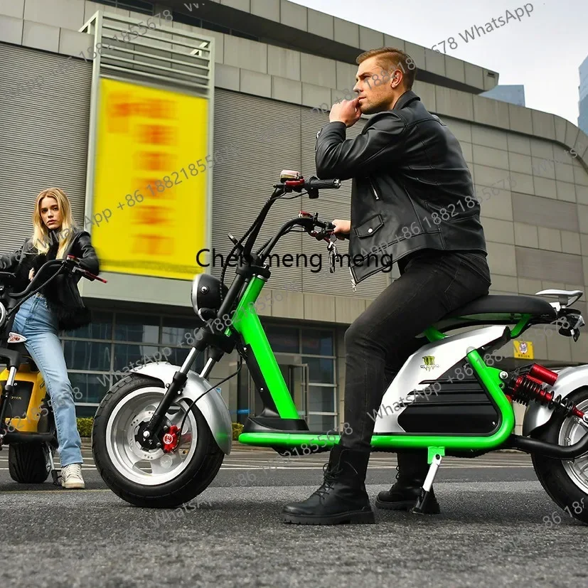 A61 Electric   Adult Off-road 2000W48V20AH Electric Bicycle Double Seat Electric Motorcycle Mountain Fat Tire Mobility Scooter