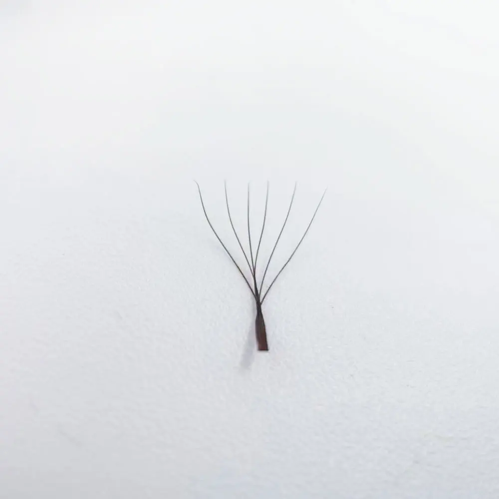 Supmacio Dark Brown 3D/4D/5D W YY Lashes 0.07mm C/D Curl 7-15mm Coffee 3DW 4DW 5DW Soft Eyelash Extensions