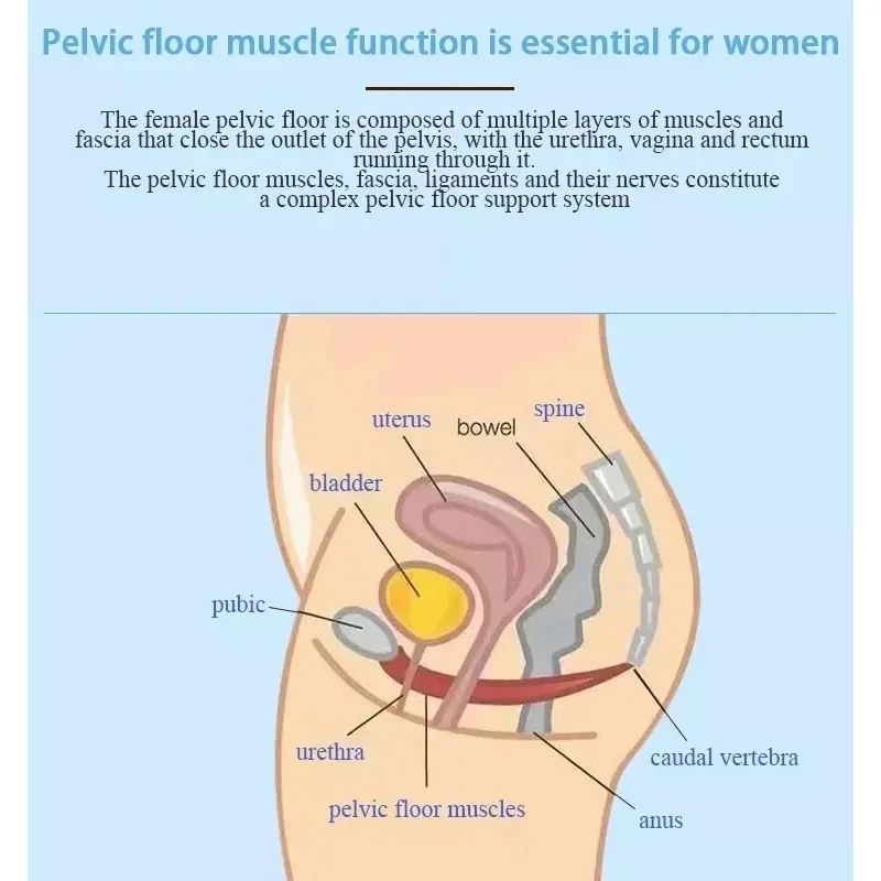 EMS Pelvic Floor Muscle Postpartum Muscle Training Prostate Treatment Massage Chair Machine Urinary Incontinence Butt Lift