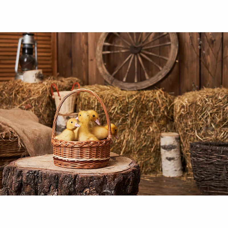 ZHISUXI fondali pasquali per la fotografia fiori primaverili uova di coniglio ritratto per bambini sfondo fotografico Studio fotografico MXR-02