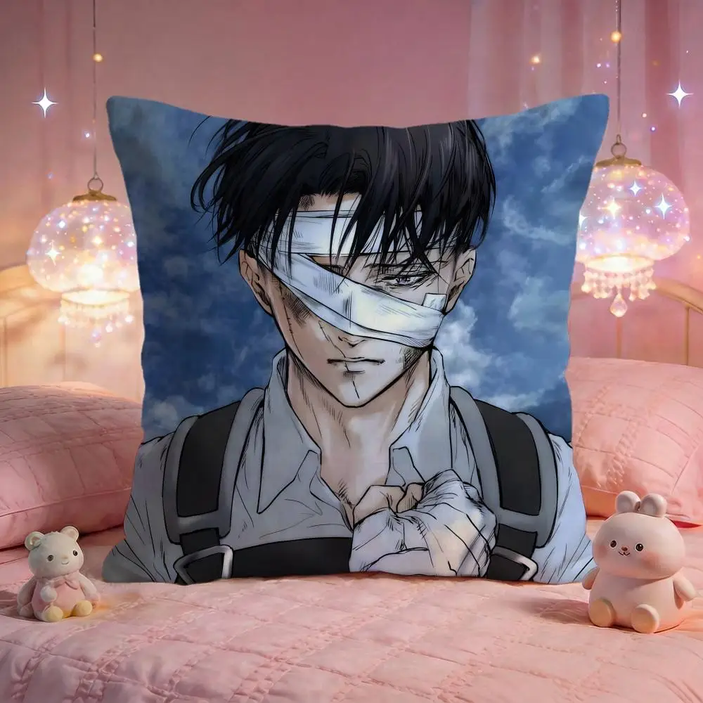 l-Levi Ackermans Cushion Cover Premium Comfort Reversible Pillow Cove -Two in One Design for Any Room & Car Interior