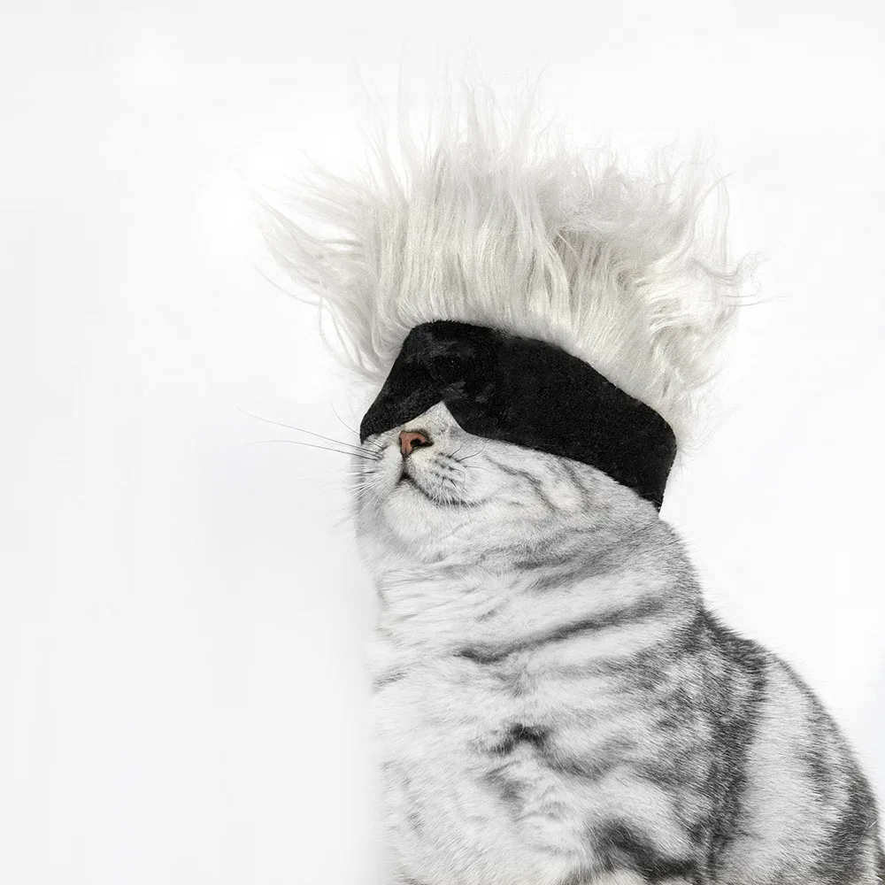 Simple Casual Pet Polyester Wig Headgear Cat Funny Solid Color Wig Cat Eye Mask Hat Pet Dog Party Hat