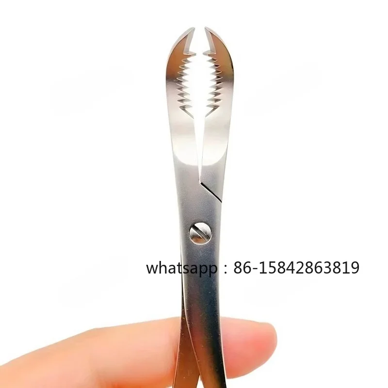 Orthopedic Instruments, Stainless Steel, Toothed Replacement Forceps, Bone Holding Forceps, Made By Seiko