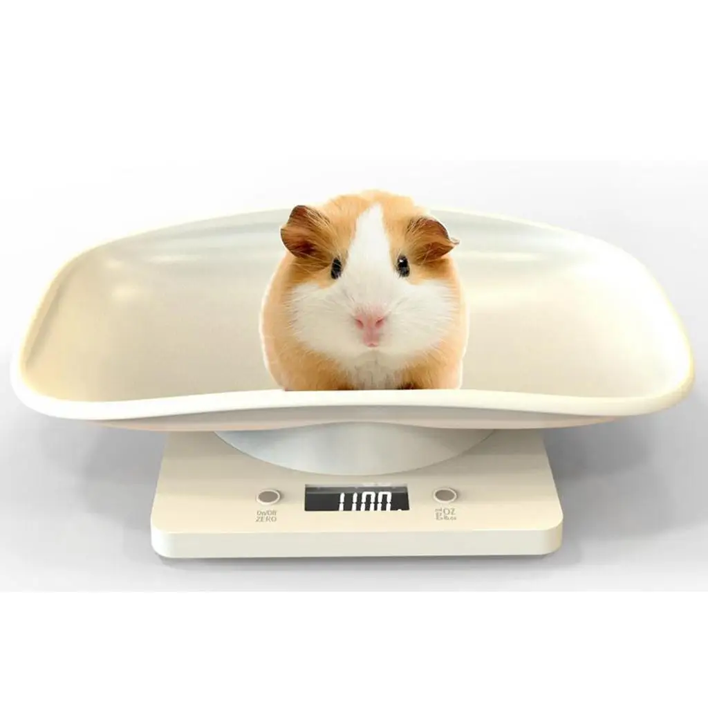 Parrot Bird Weight Scale ABS Plastic White Digital Scale Modern Tray for Small Pet Weighing Kitten Hamster Training