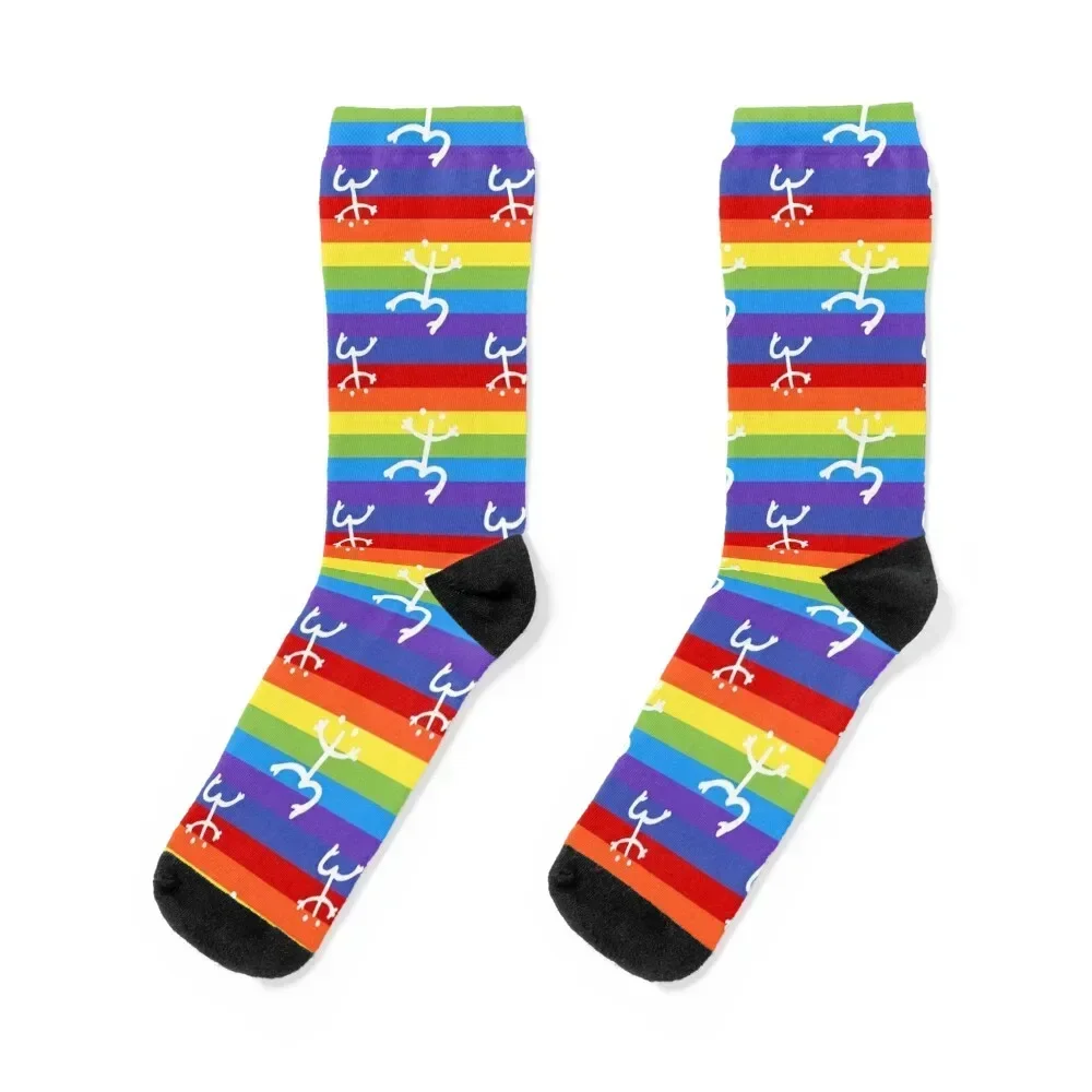 Coqui Taino Frog Rainbow Pattern Socks cool designer brand Socks For Men Women's