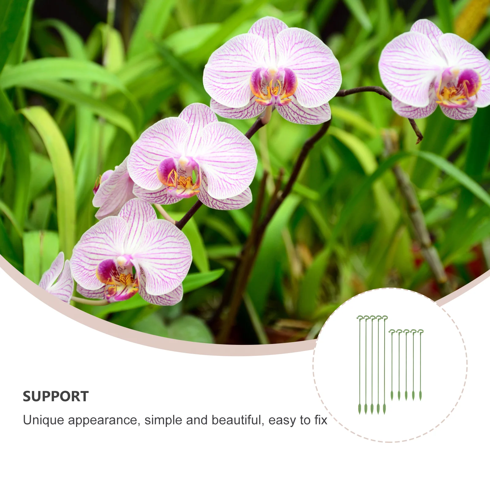 

10pcs Flower Stand Bracket Green Glass Fiber Support for Indoor Plants Strong Durable Gardening Supplies Small Plant Support