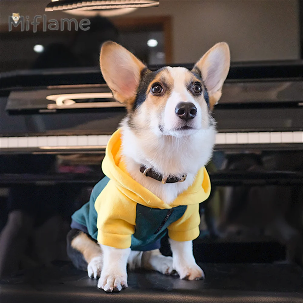 Miflame Spring Autumn Thin Small Medium Dogs Anti-hair Clothing Corgi Schnauzer French Bulldog Hoodie Pet Warm Sweater Coat