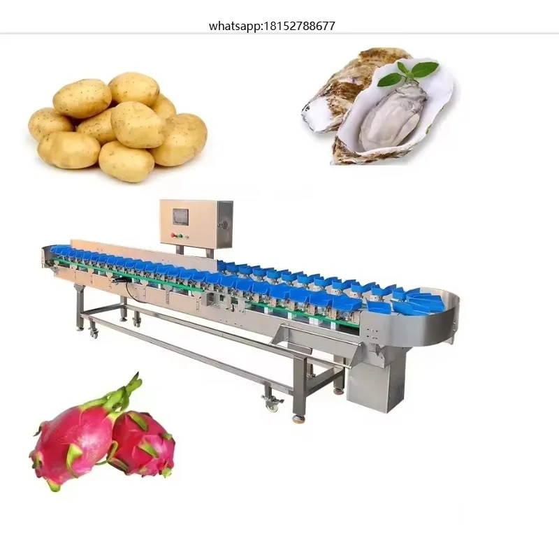 High Accurate Sorter Grader Classifier By Weight Sea Cucumber Crab Abalone Fish Vegetable Fruit Weighing Sorting Machine