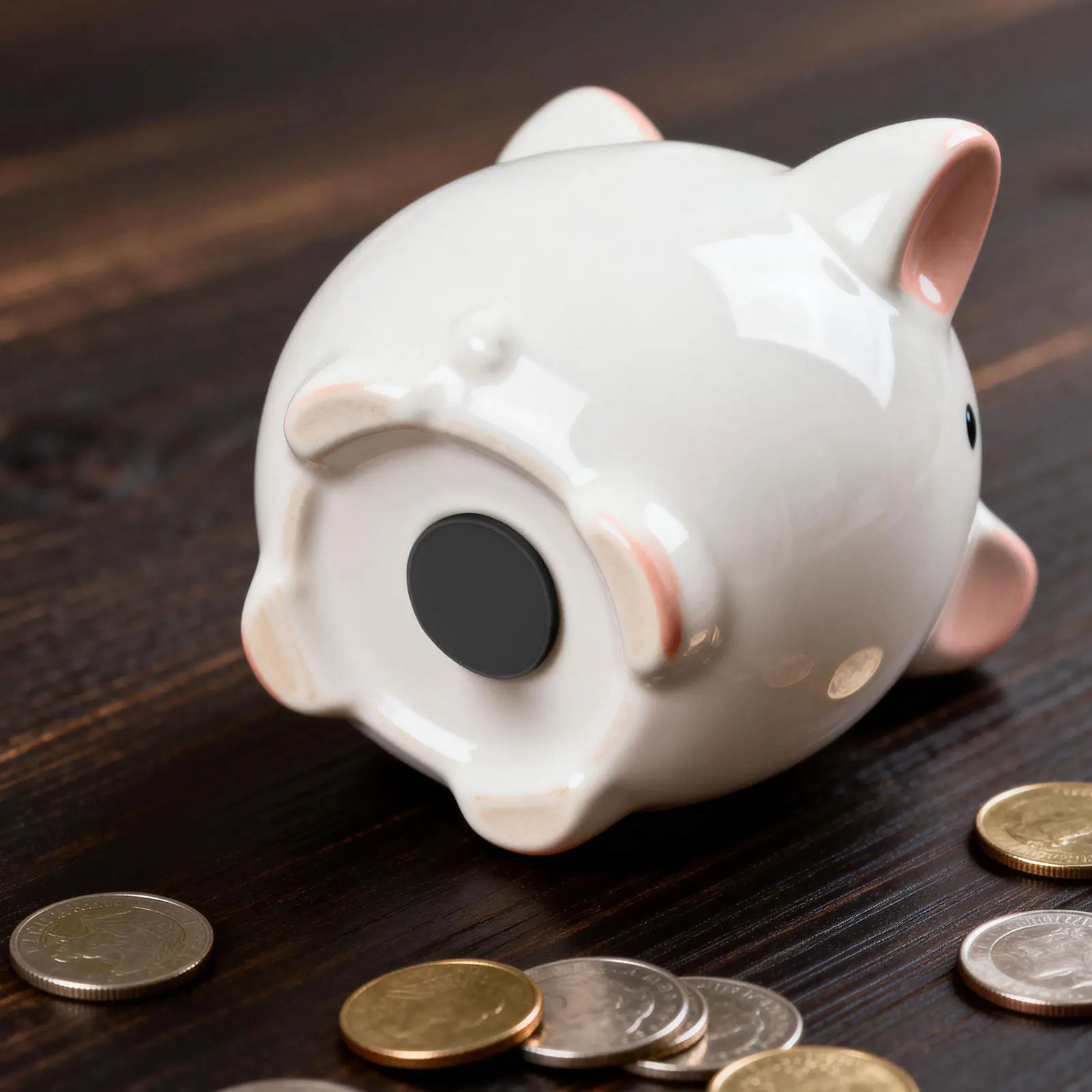 5Pcs Silicone Piggy Bank Stopper Replacement Plug Round Seal for Ceramic Money Jar Savings Box Universal Fit Leakproof Sturdy