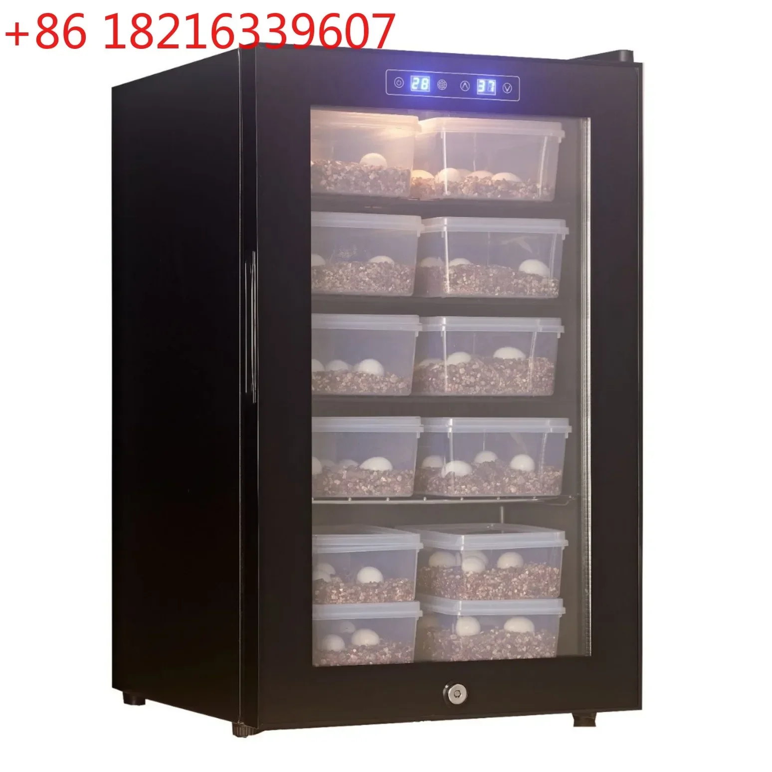 TAO Climbing pet animal air-cooled variable frequency compressor type incubator energy-saving incubator temperature-controlled