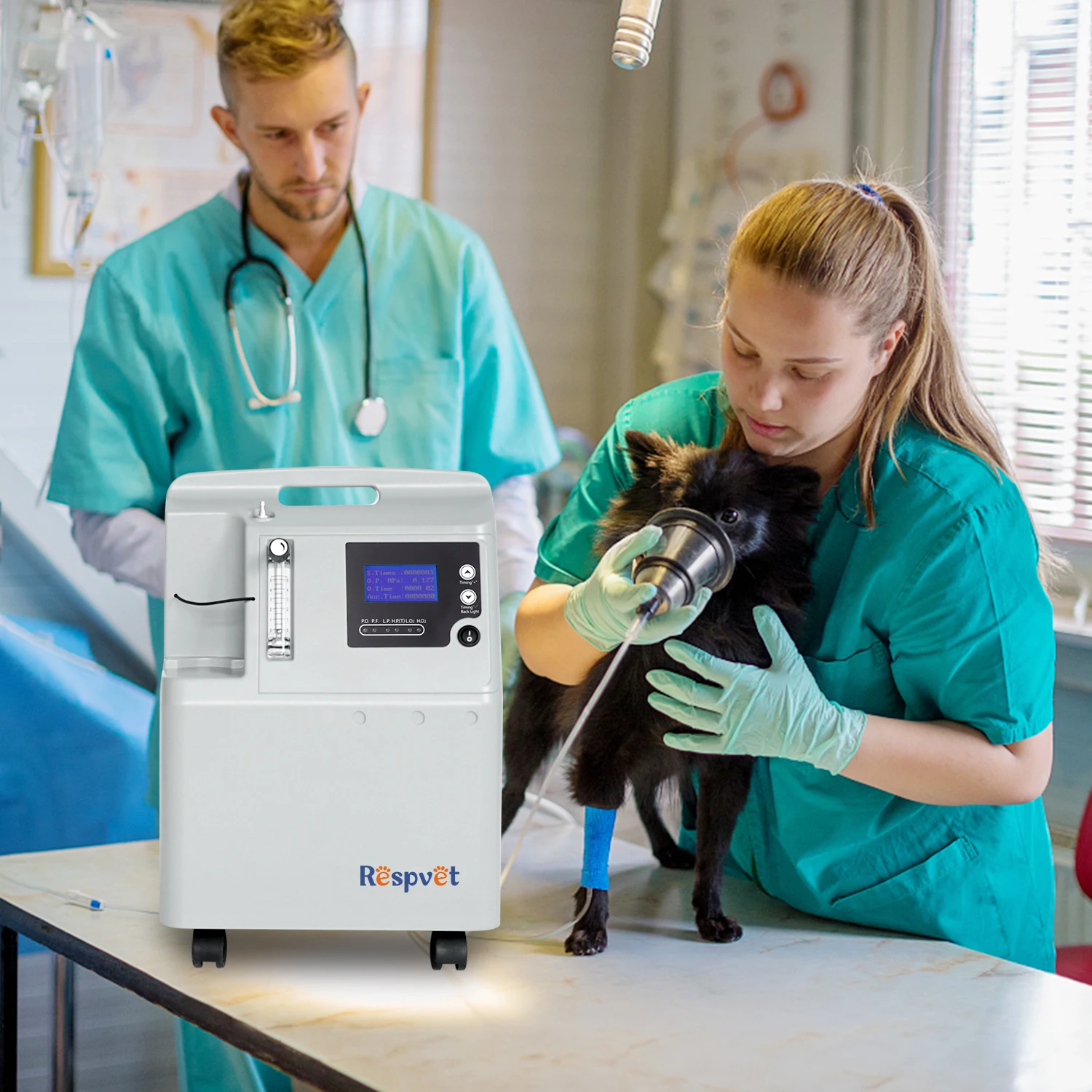 

Vet Clinic Veterinary 5L Dog Cat Care Vet Used Oxygen Concentrator