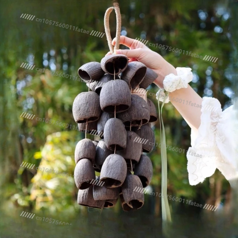 

Natural Nutshell Hand Rattle Healing Sound Therapy Onomatopoeia Bells String Bells Backing Track Healing Instrument Yoga