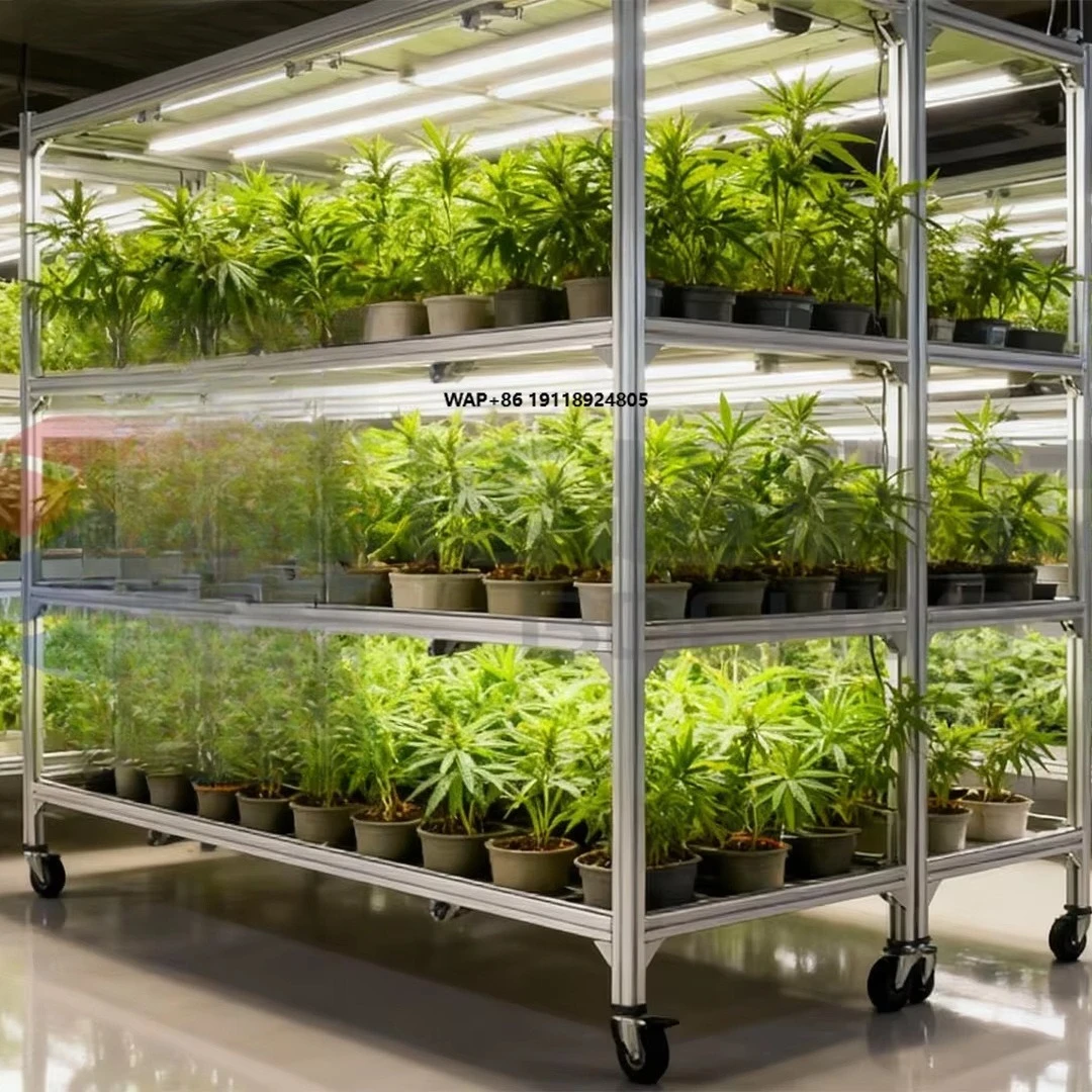 Multi-layer tidal nursery beds for hydroponic vertical agriculture in greenhouses