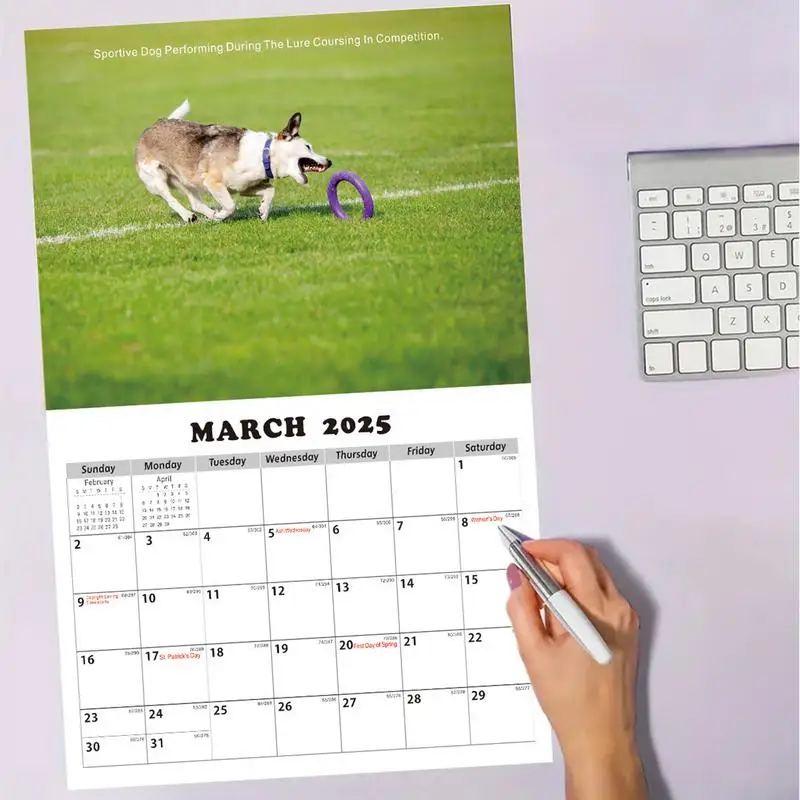 2025 Kalender Honden Grappige Puppy Kalender 11x8 Inch Leuke Hond Wandkalender Familie Creatieve Kalender Voor Kinderen Tieners Hondenliefhebbers