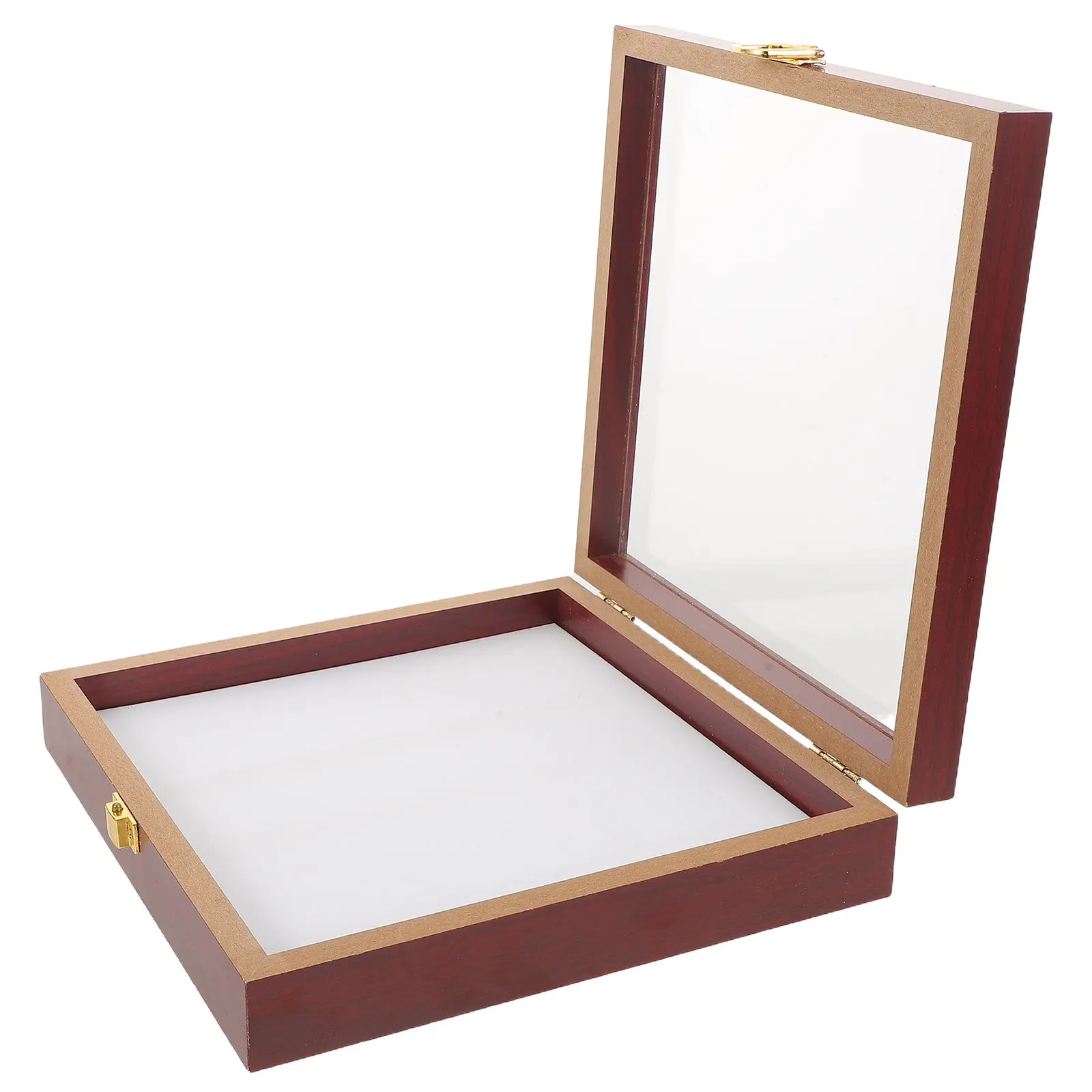 Square Specimen Display Box with Clear Acrylic Lid Sturdy Wood Construction for Butterfly Insect Dried Flower Collection