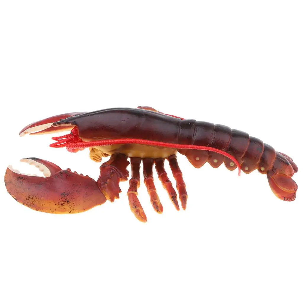 9 Inch Red Lobster Model Figurine Kids Teaching Toy Collectible