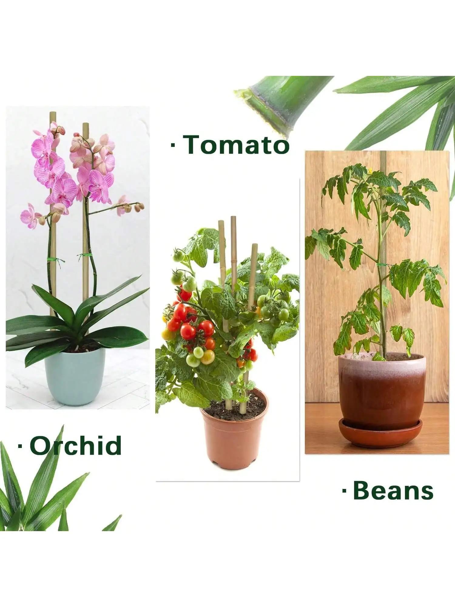20pcs Bamboo Garden Wooden Stakes Ecological Friendly Bamboo Plants Wooden Stakes, Climbing Plants - Bamboo Sticks