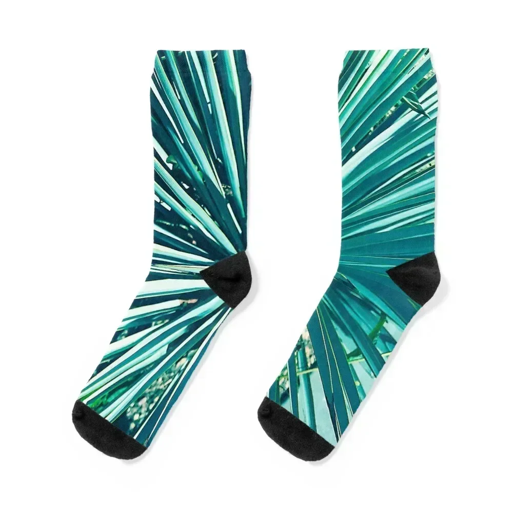 Exotic Aqua Green Succulent Cactus Art Photo Socks sports stockings Hiking boots Socks For Men Women's