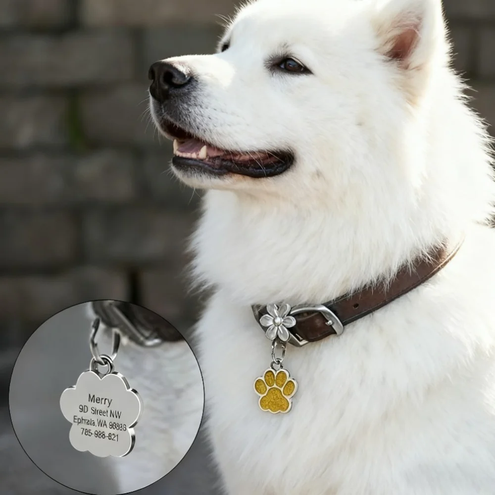 Personalisierter Text Hunde- und Katzen-Anhänger, individuell graviertes Haustier-ID-Namensschild, Edelstahl-Pfoten-Glitzer-Anhänger, Haustierzubehör für Hunde – Detail 5
