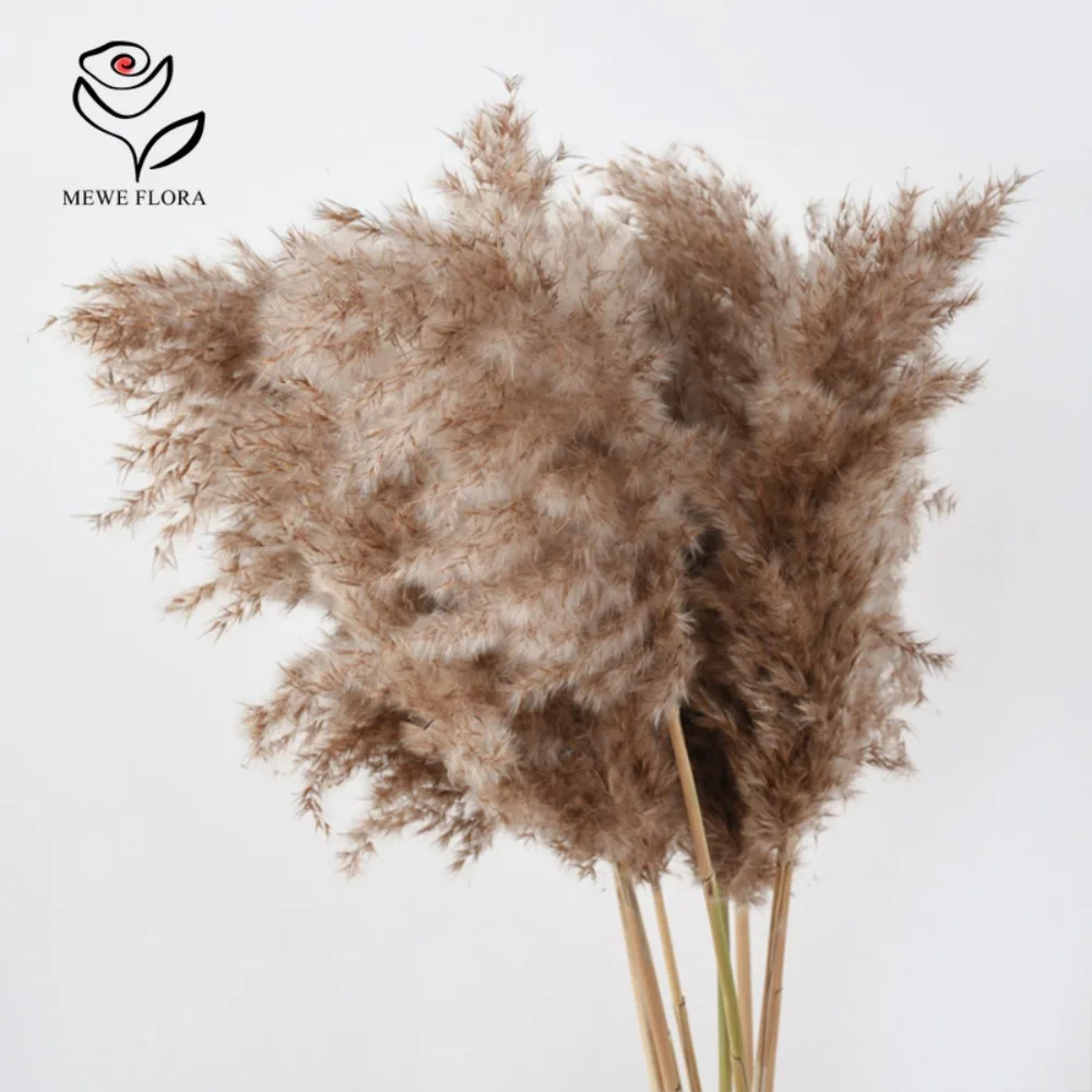 10Pcs Natural Dried Flowers Fluffy Pampas Grass Whisk Bouquets Garden Home Decoration Outdoor Christmas Autumn Wedding Decor