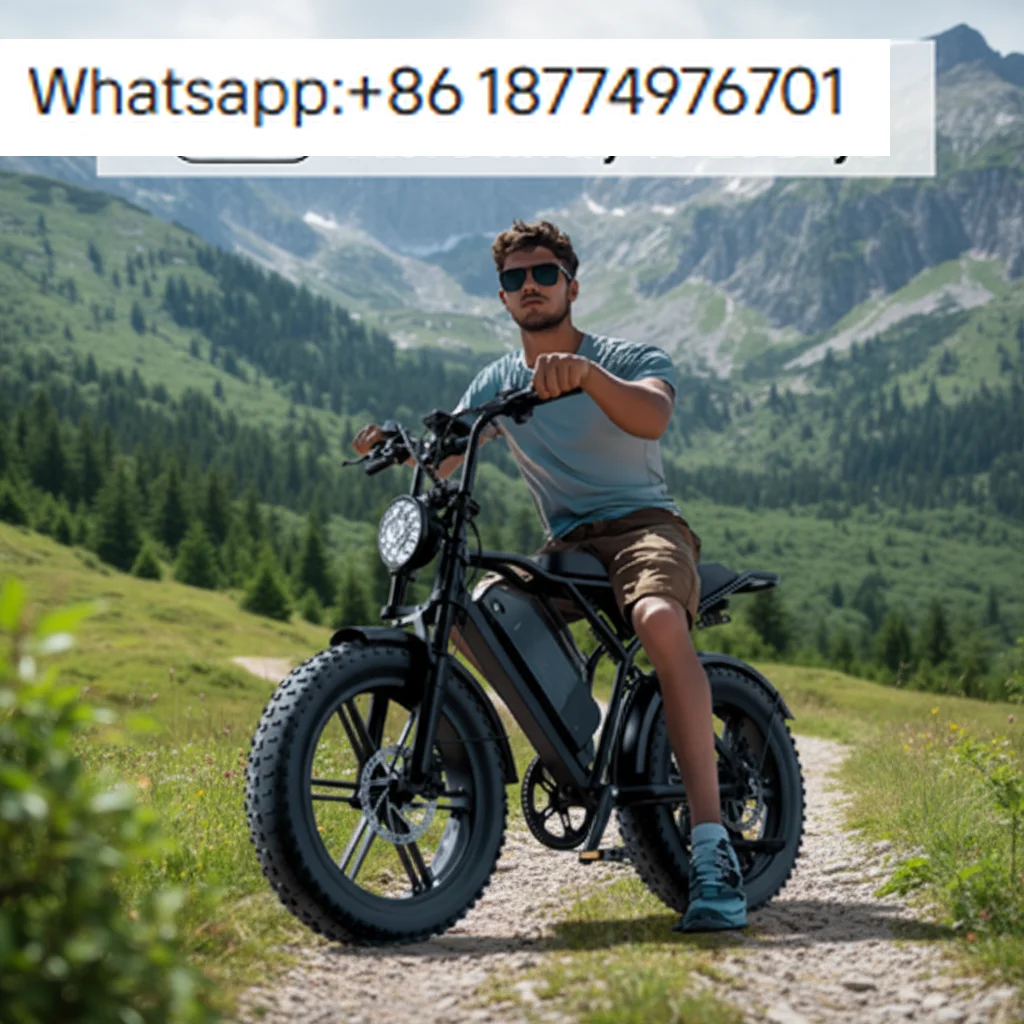 

Wholesale Steel Framed Electric Mountain Bike with 250 Watt Motor Is Suitable for Urban Commuting and Light Off Road Use E Bike