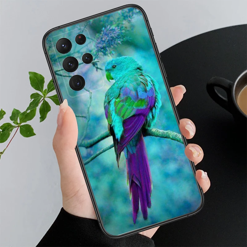 Phone Case for Samsung Galaxy A55 A15 A54 A52 A33 A34 A35 A25 A05s A05 A22 A24 M34 M54 M23 M14 Parrot Bird Macaw Funda