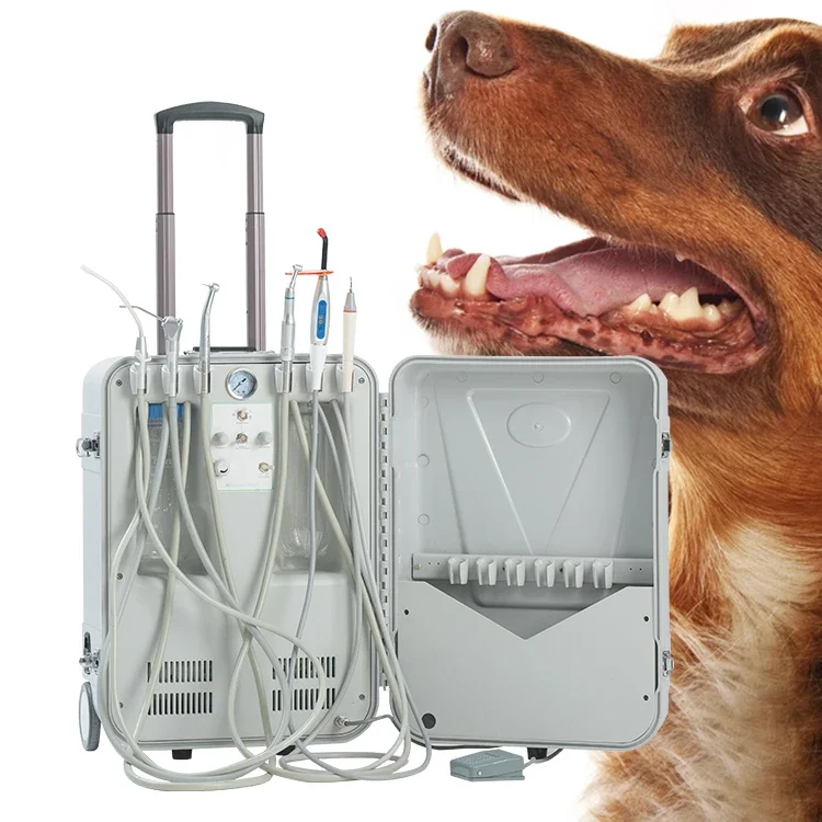 Vet Use 2025 Unidades den--tales Suction HR-DP15 den--tal Equipment Mobile Suitcase Portable Veterinary den--tal Unit for Pet