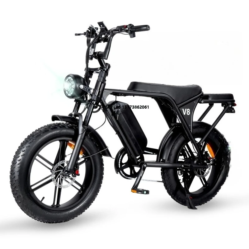

20inch Fat Tires Electric City Bike E Bike Ebike Electric Mountain Bike V8