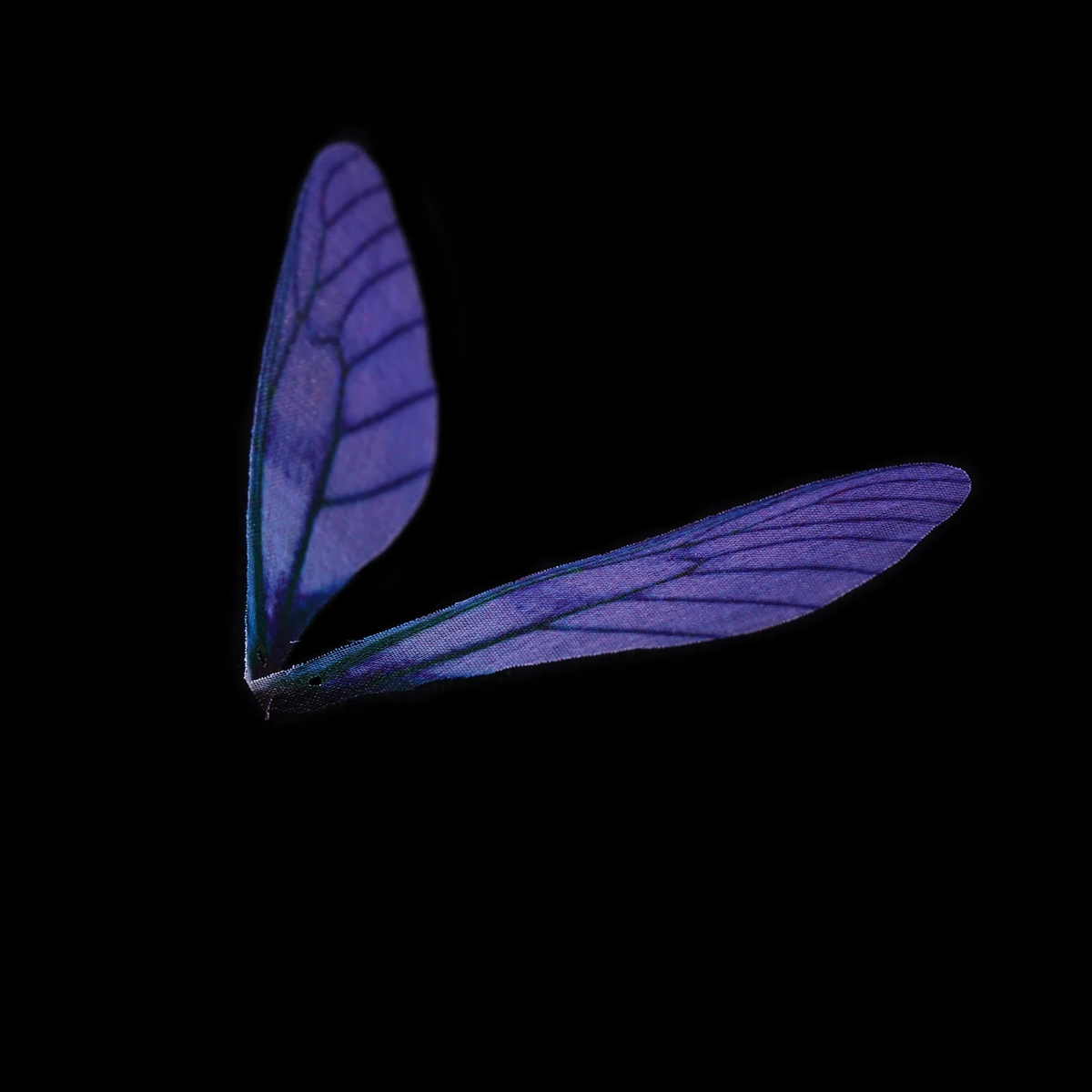 

20 Pcs Crafts Decoration Dragonfly Wing Charms Angel Wings Artificial Earrings Accessories