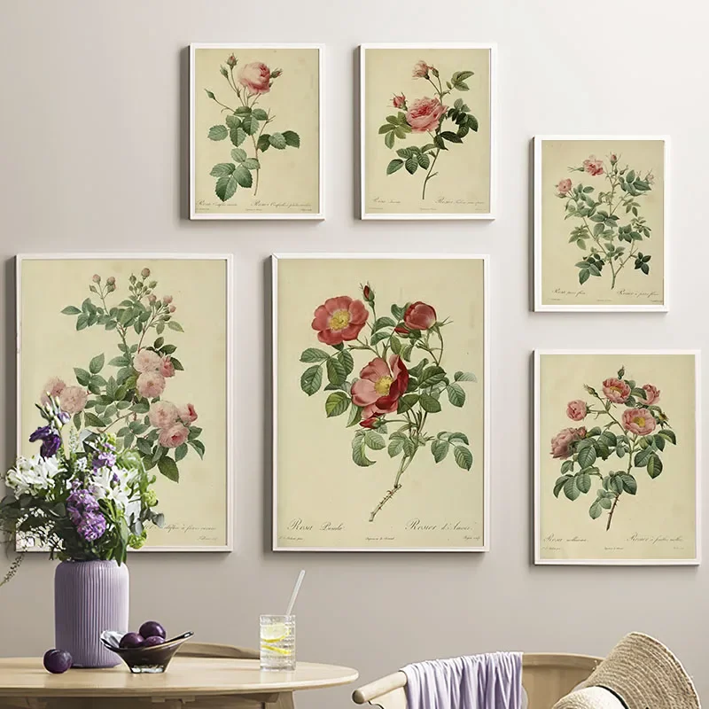 Canvas Painting Plantas Antiguas, Ilustraciones De Flores Rosas, Carteles E Impresiones Vintage, Imágenes Para El Hogar, Habi
