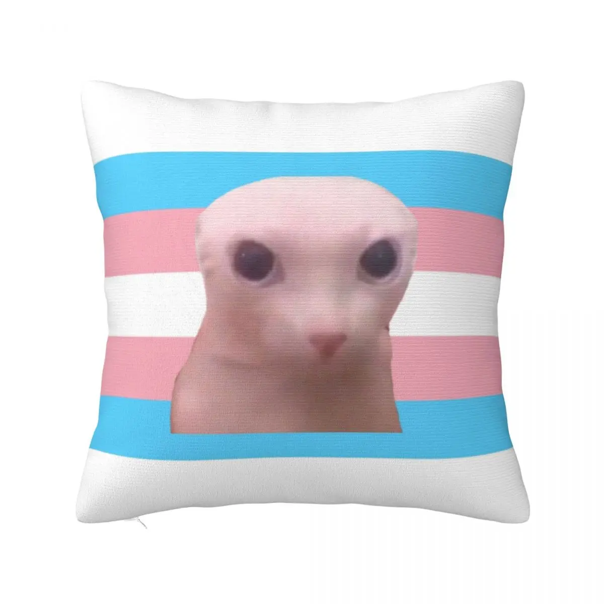 Bingus My Beloved Pillow Case Transexual Flag Cushion Cover Awesome Polyester Decorative Pillowcover for Car 40x40cm