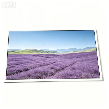 TM070RDGP01-00 7.0 Inch 800x480 TFT-LCD Display with LED Driver for Electronics