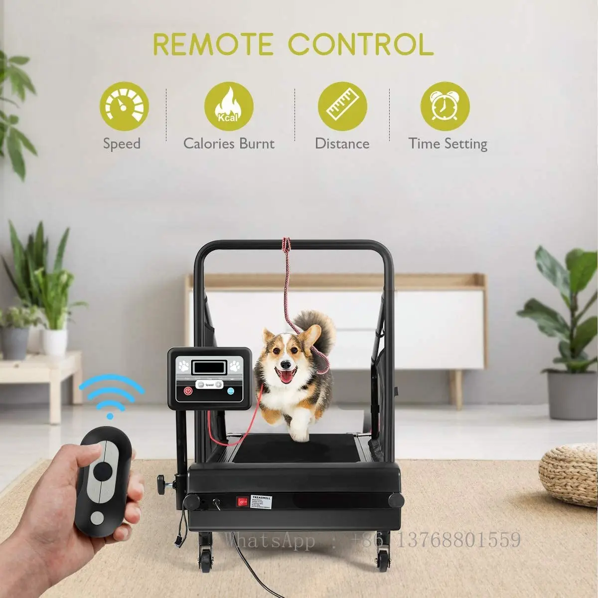 Hot Sale Pet Use Electric Running Machine Perfectly For Dogs