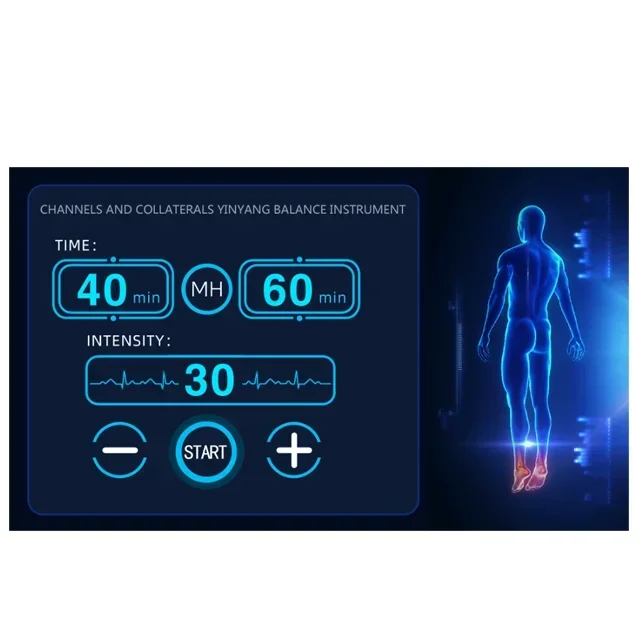 2025/New 8 in 1 body Care  DDS Meridian BIO Massage   tightening hine With magnetic therapy pulse frequency
