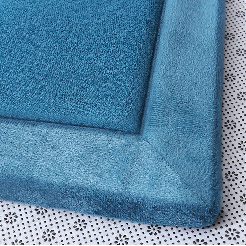 Coral Fleece Carpet for Living Room Luxury 2.5cm Thickened Warm Bedroom Kids Room Area Rugs Anti Slip Tatami Floor Mat Mattress