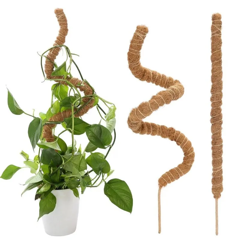 Gardening Tools Cocoanut Stick Green Pot Fixed Plant Climbing Cane Flower Support Cocoanut Climbing Cane Moss Rod 1pc