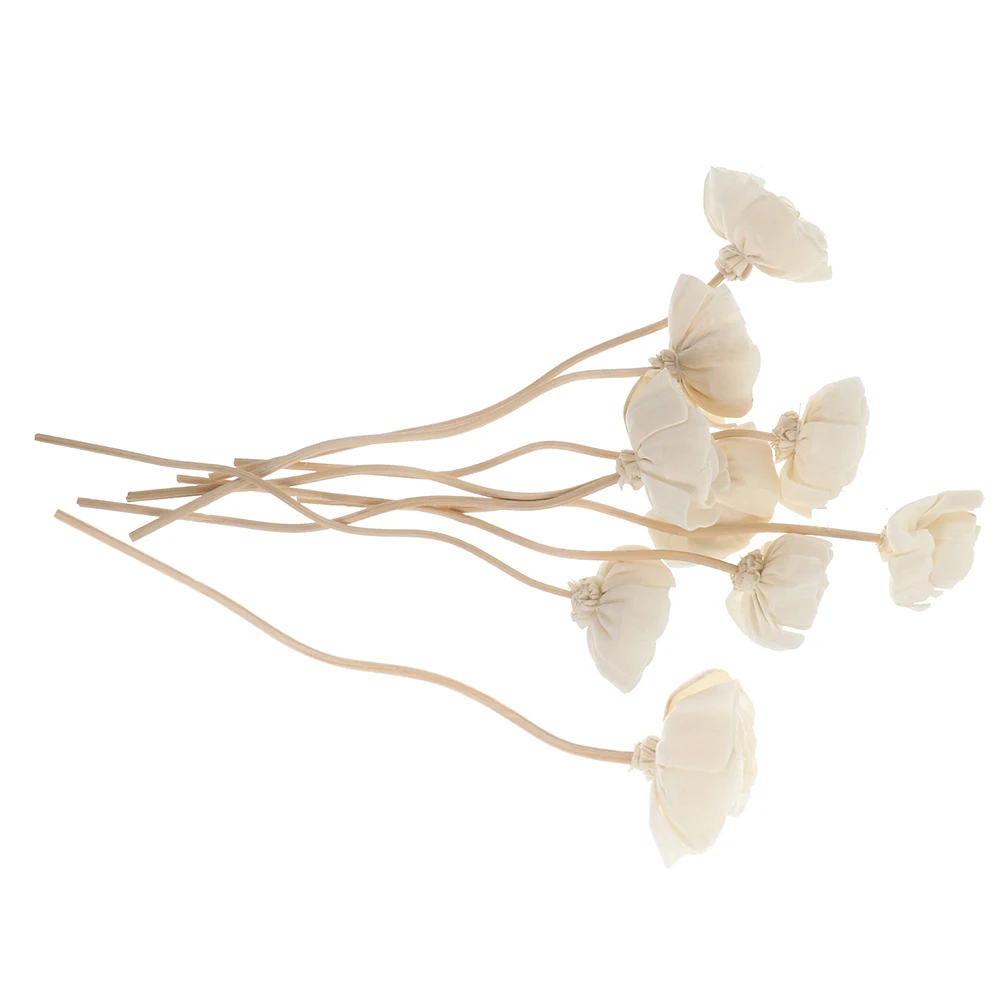 

9 Pcs Aromatherapy Rattan Flower Fragrance Diffuser Sticks Oil Essential for Dry