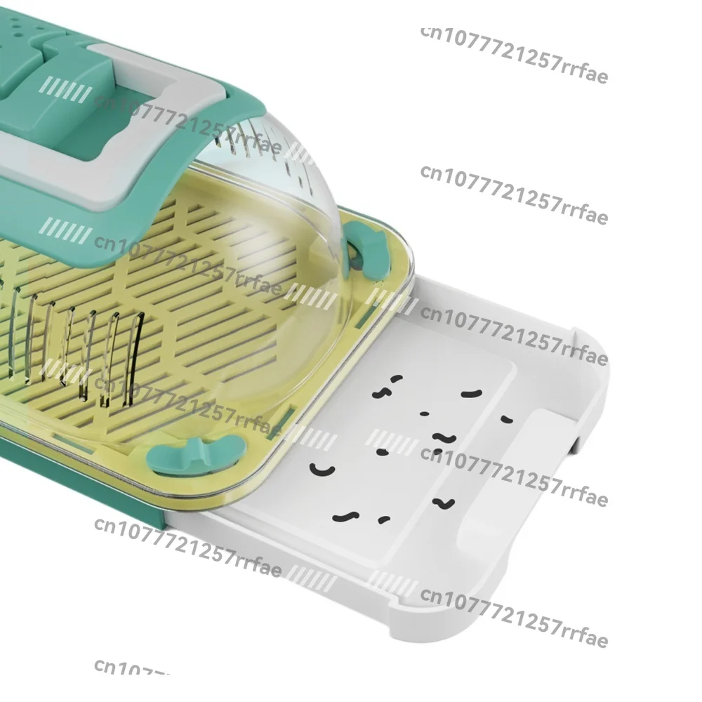 

Insect Observation Box Science Experiment Toy