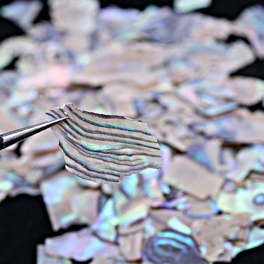 5g Nail Art Shells Abalone Flakes, Luxe Mother-of-Pearl Nail Charms for Manicure Decorations Acrylic & Gel Nails